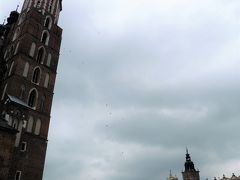 お天気が悪く、鳥・・多分鳩・・も飛び交うので悪魔城のように見える
聖マリア教会の塔。
と、ヨーロッパで一番広いと言われている中央広場（リネック）。