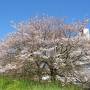 万座温泉　聚楽さんへの温泉の旅