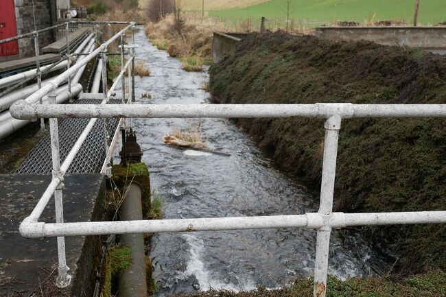 蒸溜所にとって大切なアイテム、それは水です。有名な蒸溜所の近くには必ず立派な川が流れています。この蒸溜所にも、小さいながらもハイランド地方の山から流れ出る川がありました。この水が美味しいウィスキーを生み出すのですね。