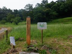 まず駅近くの本佐倉城跡に行きました。室町時代後期に下総地方を平定した千葉氏は本拠地を現在の千葉市からこの地に築きました。
