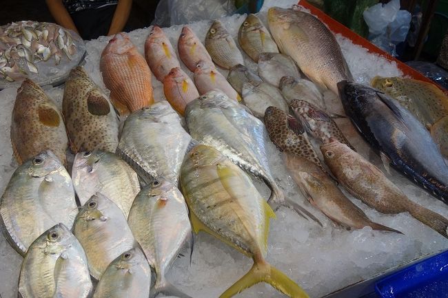 右下の黒いマグロ　お買い上げ～<br />540B　≒　1850円