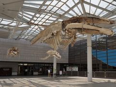 大阪市立自然史博物館は、植物園の園内の一角にあります。
巨大なクジラの骨がお出迎え。
