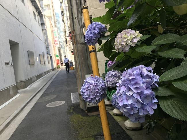 久しぶりに神田鍛冶町 日本橋室町界隈街歩き 日本橋 東京 の旅行記 ブログ By Swalさん フォートラベル