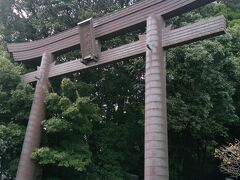 翌朝
高千穂神社にやってきました