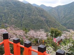 桜の季節に来れて　
良かったなあ　
これで青空だったら　もっとよかったんだけれど・・・