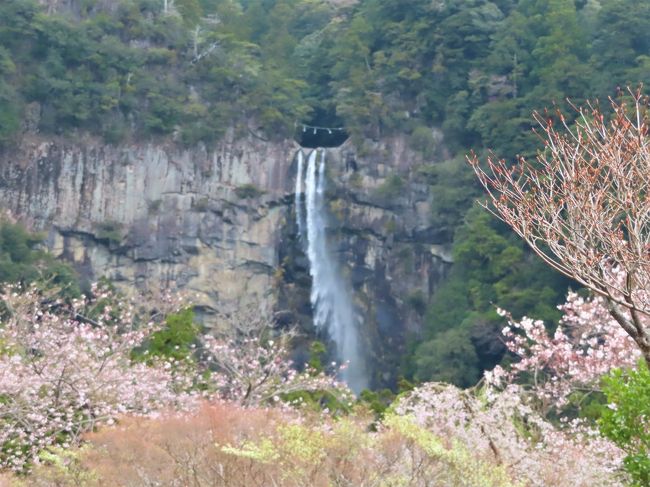 リベンジ和歌山 4 那智の滝は高低差がすごいなあ 和歌山県の旅行記 ブログ By M Koku1さん フォートラベル リベンジ和歌山 4 那智の滝は高低差がすごいなあ 和歌山県の旅行記 ブログ By M Koku1さん フォートラベル