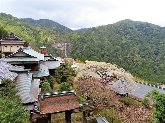 リベンジ和歌山 4 那智の滝は高低差がすごいなあ 和歌山県の旅行記 ブログ By M Koku1さん フォートラベル