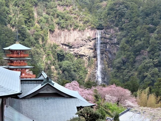 リベンジ和歌山 4 那智の滝は高低差がすごいなあ 和歌山県の旅行記 ブログ By M Koku1さん フォートラベル リベンジ和歌山 4 那智の滝は高低差がすごいなあ 和歌山県の旅行記 ブログ By M Koku1さん フォートラベル