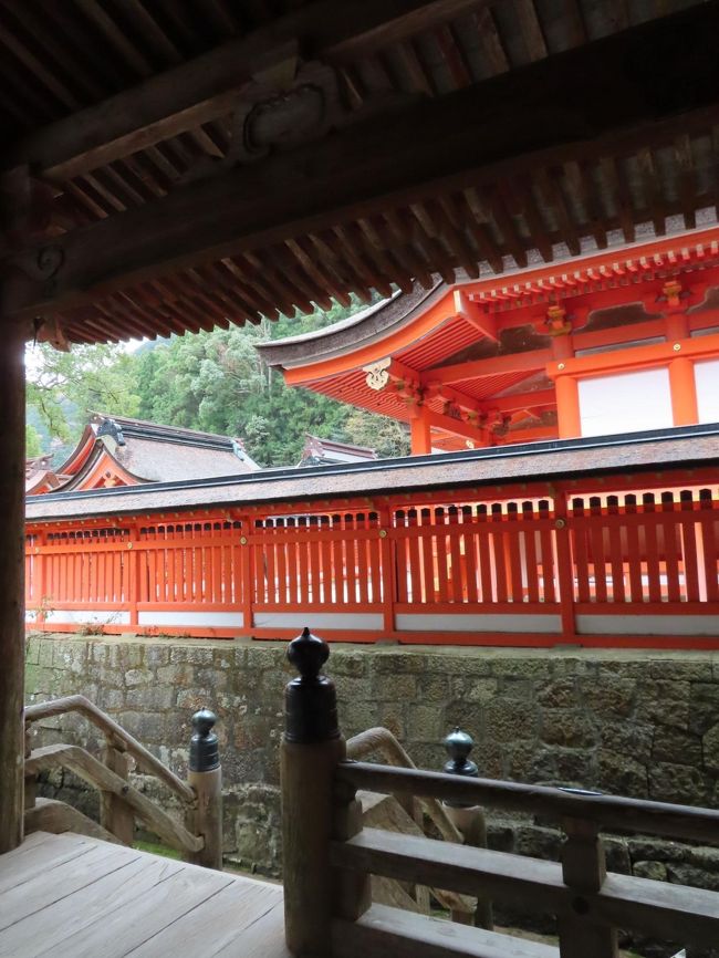 リベンジ和歌山 4 那智の滝は高低差がすごいなあ 和歌山県の旅行記 ブログ By M Koku1さん フォートラベル リベンジ和歌山 4 那智の滝は高低差がすごいなあ 和歌山県の旅行記 ブログ By M Koku1さん フォートラベル