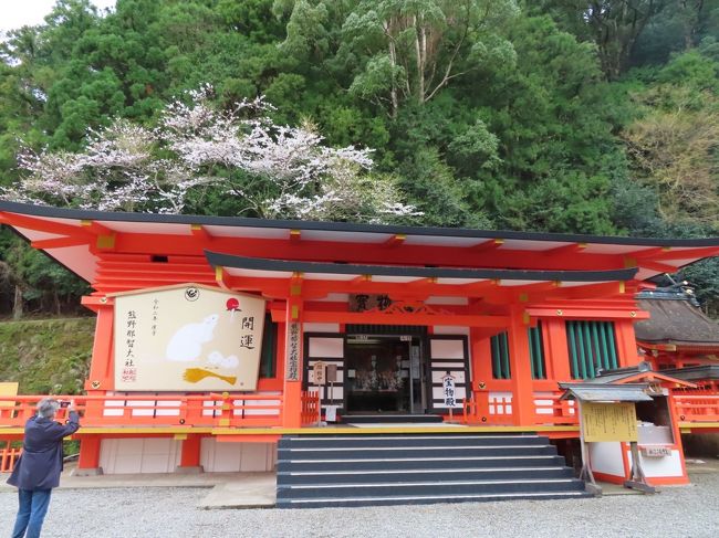 リベンジ和歌山 4 那智の滝は高低差がすごいなあ 和歌山県の旅行記 ブログ By M Koku1さん フォートラベル リベンジ和歌山 4 那智の滝は高低差がすごいなあ 和歌山県の旅行記 ブログ By M Koku1さん フォートラベル