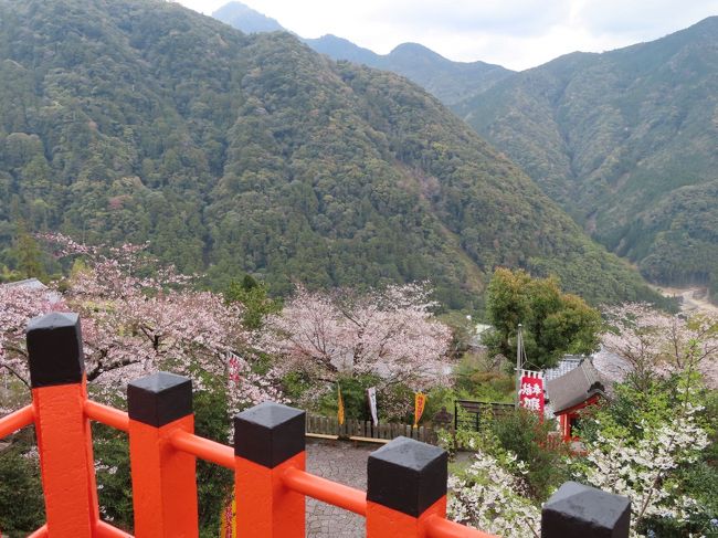 リベンジ和歌山 4 那智の滝は高低差がすごいなあ 和歌山県の旅行記 ブログ By M Koku1さん フォートラベル リベンジ和歌山 4 那智の滝は高低差がすごいなあ 和歌山県の旅行記 ブログ By M Koku1さん フォートラベル