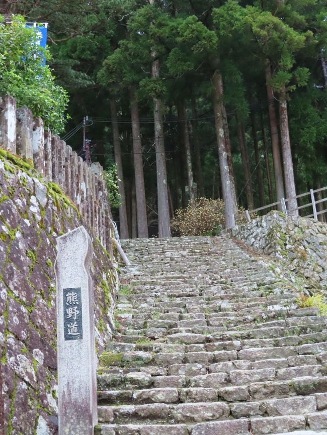 リベンジ和歌山 4 那智の滝は高低差がすごいなあ 和歌山県の旅行記 ブログ By M Koku1さん フォートラベル リベンジ和歌山 4 那智の滝は高低差がすごいなあ 和歌山県の旅行記 ブログ By M Koku1さん フォートラベル