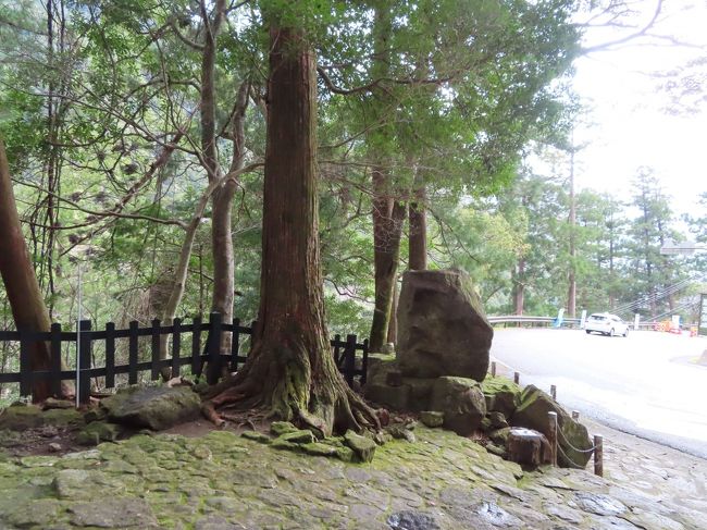 リベンジ和歌山 4 那智の滝は高低差がすごいなあ 和歌山県の旅行記 ブログ By M Koku1さん フォートラベル リベンジ和歌山 4 那智の滝は高低差がすごいなあ 和歌山県の旅行記 ブログ By M Koku1さん フォートラベル