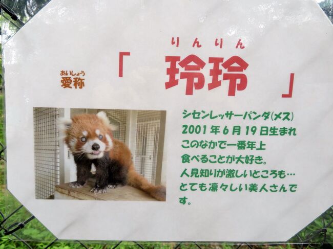 車で３度目の羽村市動物公園 夏日だけど涼しくなった夕方１時間半の滞在 レッサーパンダのソラちゃんメイン 福生 武蔵村山 東京 の旅行記 ブログ By まみさん フォートラベル