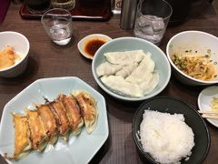 宇都宮といえば餃子でしょ、ということで有名なみんみんに行くことにしましたが、閉まるの早いのね…。着いた途端にラストオーダーだったのでいっきに頼んだらかなりのボリュームになってしまいましたが、飲み足りないという理由で遅くまでやってる別の店へハシゴまでした(笑)が、さすがに2軒目はまったく食べれなかったな…変わった中身のとかも色々食べたいから、こういう時は一人旅は不便だなぁと思う。