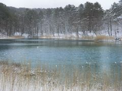 明治22年(1888年)に、磐梯山頂北側、小磐梯を含む部分が水蒸気爆発によって山体崩壊を起こし、岩なだれが川をせき止め、このエリアに数百もの湖沼が形成されました。
そのうちの数十の湖沼群を「五色沼湖沼群」と言い、五色沼として多くの観光客が訪れるようになりました。