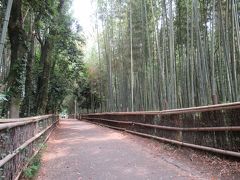 嵐山 竹林の小径