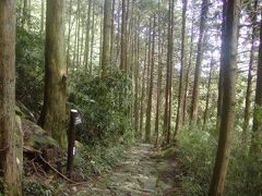 江戸期のものとか・・・箱根旧街道
周りは杉が見事に植林されている
この辺りの石は割り石がほとんど
途中には石組による治水技術の説明が・・