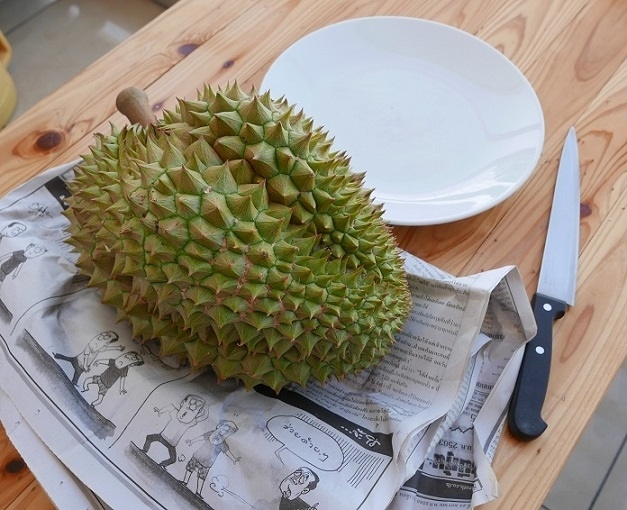 11日　　友人からいただいたドリアン