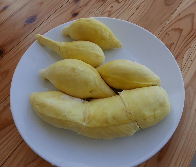 11日　　メーバーンが上手に切りました．．．少し熟れ過ぎてはあるが大変に美味しいドリアンでした、ありがとうございました。<br />半分は明日食べるために冷蔵庫へ入れます。