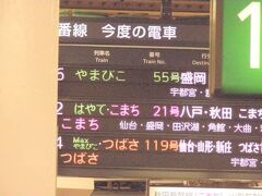 今回の旅行記（？）１本目は人生初となる岩手県への旅行です。
旅行と言ってもちょっと変わった旅となります。

まずは大宮からやまびこ５５号で北上を目指します。
最新の時刻表で確認したところ、現在は盛岡行きのやまびこ５５号は存在しないようです（グランクロスとかない時代です）