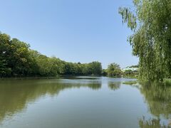 駅から10分弱で石神井公園に到着。

写真は石神井池です。