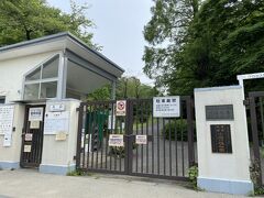 小石川植物園まで来ましたが、こちらは残念ながらまだ臨時休園でした。