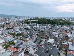 高い建物が全然なーい！
遠くまで見渡せます(笑)

木が生い茂っているのは「高岡古城公園」
春に来ると桜が綺麗なんですよ

中央左手には、、、