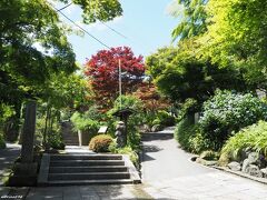 鎌倉　海蔵寺

年間を通していろいろな花が楽しめる穴場です。
