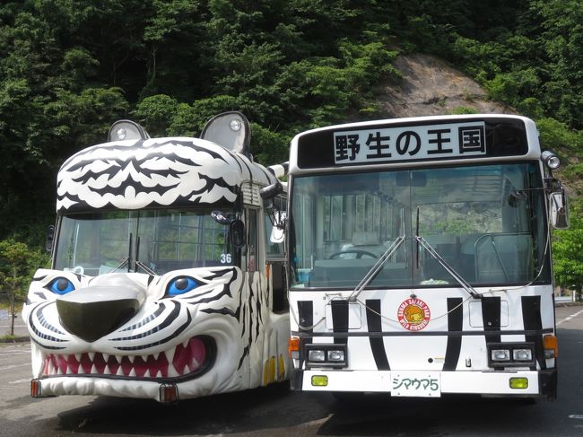 車アクセスのハードル下がった群馬サファリパーク １ サファリパークいろいろ マイカーからも撮影サファリエリア 帰りに寄った道の駅のある甘楽 富岡 甘楽 群馬県 の旅行記 ブログ By まみさん フォートラベル