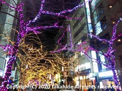 東京駅

いつも通りの東京シャトル(現エアポートバス東京・成田)で成田空港に向かいます。
バス停近くのさくら通りはライトアップされていてとても綺麗です。


東京駅：https://ja.wikipedia.org/wiki/%E6%9D%B1%E4%BA%AC%E9%A7%85
東京シャトル：http://www.keiseibus.co.jp/kousoku/nrt22.html
成田空港：https://ja.wikipedia.org/wiki/%E6%88%90%E7%94%B0%E5%9B%BD%E9%9A%9B%E7%A9%BA%E6%B8%AF
成田空港：http://www.narita-airport.jp/