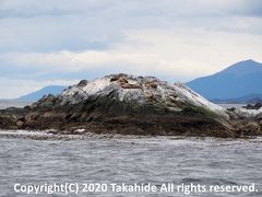 灯台のある島に隣接するロボス島(Isla de los Lobos)です。
ロボス(Lobos marinos)の意味通りアシカが沢山います。


アシカ：https://ja.wikipedia.org/wiki/%E3%82%A2%E3%82%B7%E3%82%AB