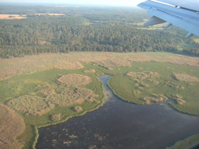 日本から一路スウェーデンへ！<br />一面森です！<br /><br />この日はホテル直行。