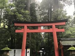 ガラスの森美術館にいた頃は小康状態だった雨が、また降りだしてきた。

箱根は見どころたくさんだけど、雨だし、この時期だし、あまりうろつくのはやめて箱根神社へお参りして帰るとしましょ。