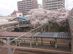 -2020年４月-
【南小樽駅(小樽市)】
小樽駅の隣駅で「堺町通」や「ルタオ本店」「小樽オルゴール堂」の最寄り駅。駅駐車場に設置されている鐘は昭和40年まで列車発車の合図に実際に使用されていたもの。小樽駅の出入り口にも鐘があるので、小樽観光の一環で鉄道の歴史にも触るのも良いかも。