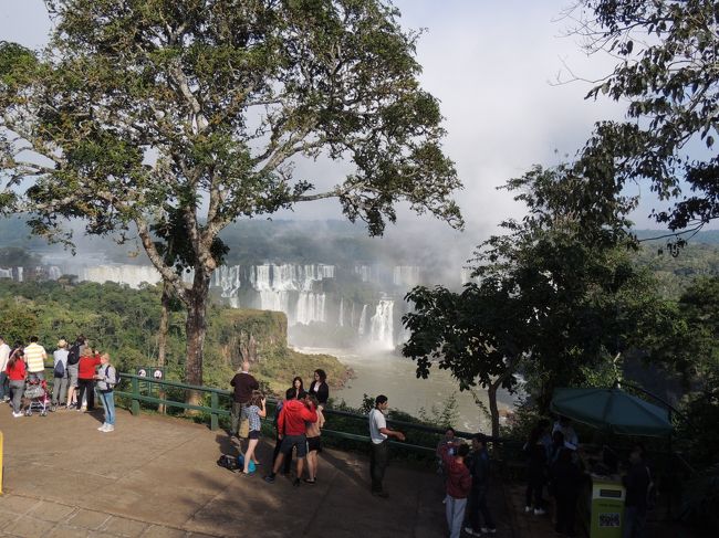 6月12日（水）【イグアスの滝】（ブラジル側）<br />滝が見えてきました。ブラジル側から最初に見える景色に感動です。