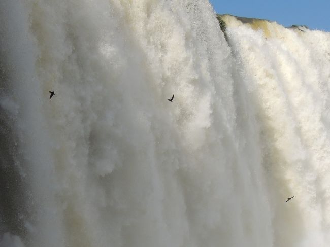 6月12日（水）【イグアスの滝】（ブラジル側）<br />鳥が滝の中へ飛び込んでいきます。内側に巣があるそうです。<br />外敵から身を守る知恵でしょう。