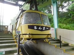 雨の中の山登りは大変なので、宝登山頂へはロープウェイで向かう。乗客は私を含め6名で、それに乗務員1人の計7人。もちろん全員マスク着用。