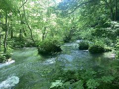 九十九島。苔むした岩と草木の様子が、島が点在しているように見えることからこの名がついた。