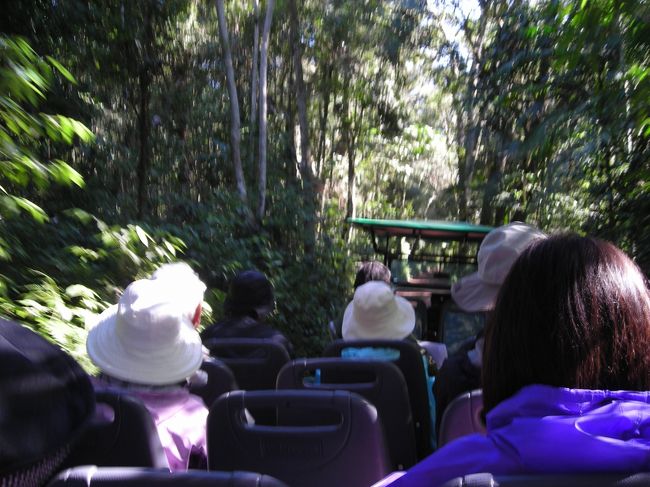 6月12日（水）【イグアスの滝】ボートツアー<br />森の中を車に乗って、ボート乗り場へ向かいます。