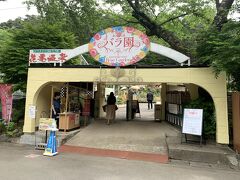 花巻温泉バラ園。