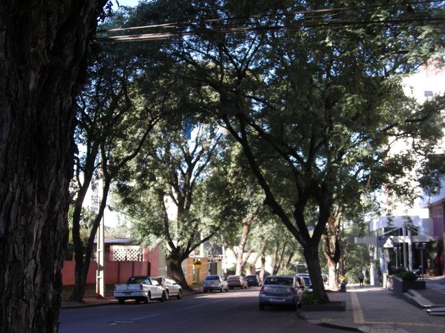 イグアス(ブラジル)の宿泊ホテル付近<br />イグアスに2泊した観光を終え、6月13日（木）夕刻の飛行機で<br />4時間ほど飛び、ペルーのリマ市へ戻ります。<br />14日（金）は、ペルー国内線で『クスコ』へ向かう予定です。<br />以降は『旅行記３/３マチュピチュ遺跡』編へ<br /><br />（1/3　ナスカの地上絵　編）<br />           https://4travel.jp/travelogue/11628491<br />（3/3　マチュピチュ遺跡　編）<br />　　　　https://4travel.jp/travelogue/11629154<br />