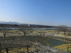神奈川県で一番大きい川・相模川