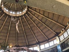 このレストランきもちいいです。
ガーデン席は、ちょっと暑すぎて遠慮しました。

またコロナ追跡に登録しました。
向かい合って座らない様指導されます。