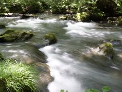 １４キロの渓流を沿って、ハイキングします。