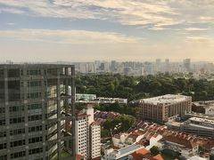 マンダリン・オーチャードの朝


34℃。雲が多いものの日差しが強くなってきました。