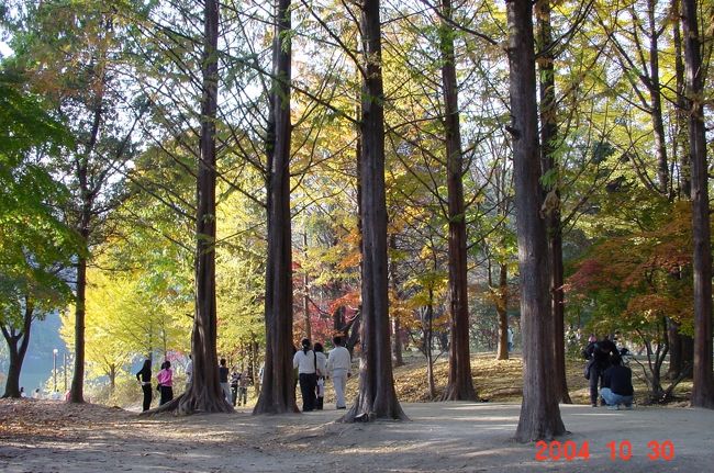 メタセコイアの散歩道<br />撮影現場　小さな雪だるまの　テーブル<br />写真撮影　順番待ち