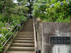 スタートは東横線多摩川駅すぐの多摩川台公園から