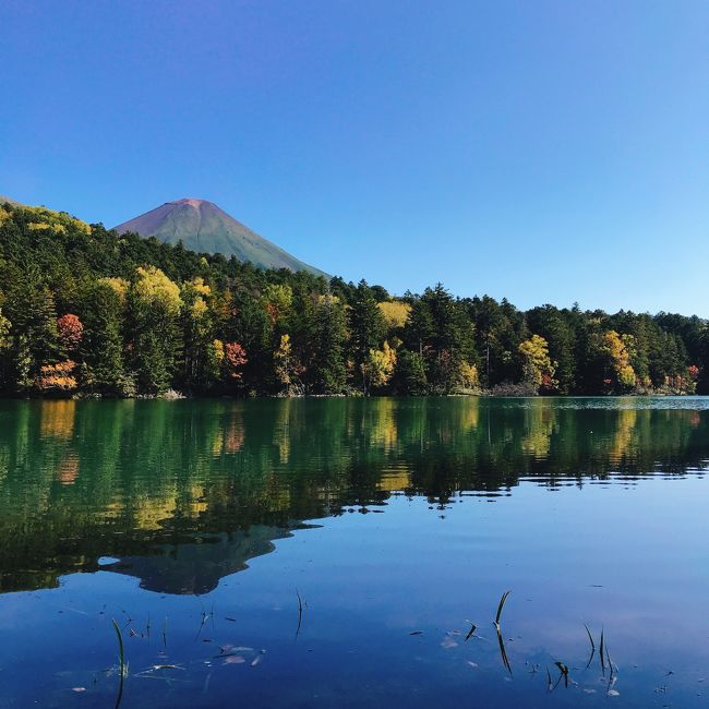 田辺三重松⭐︎雄阿寒岳⭐︎色紙 楽天市場】日本の名画 ふすま紙 横山大観 海潮四題・秋 2枚1組