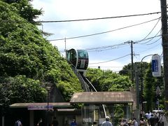 王子なら
飛鳥山公園の紫陽花
あの無料モノレールが子供達に人気で並んでます
飛鳥山の上まであっという間にだけど、なかなか面白い